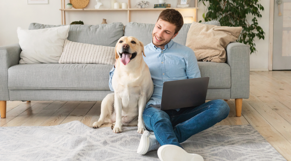 asistencia-telefonica-mascotas.gsimg_.600