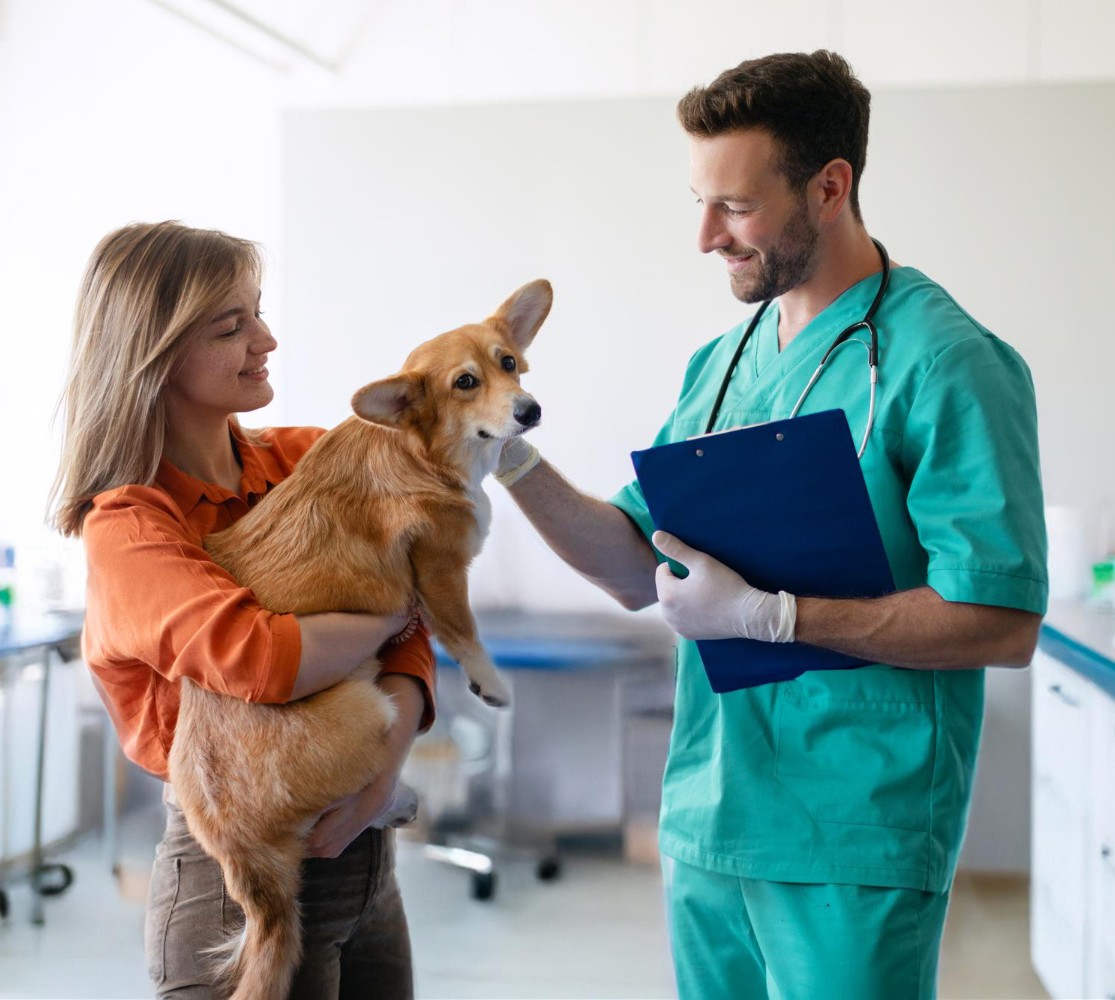 centros veterinarios